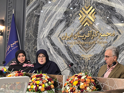 کارآفرینان ایران